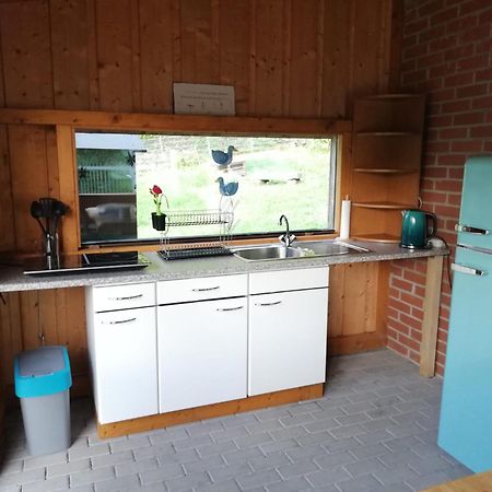 Ferienwohnung Und Sommerhaus Unter Der Burg Falkenberg  Dış mekan fotoğraf