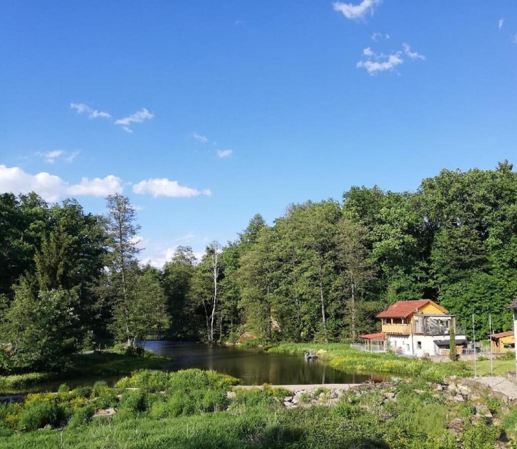 Ferienwohnung Und Sommerhaus Unter Der Burg Falkenberg  Dış mekan fotoğraf