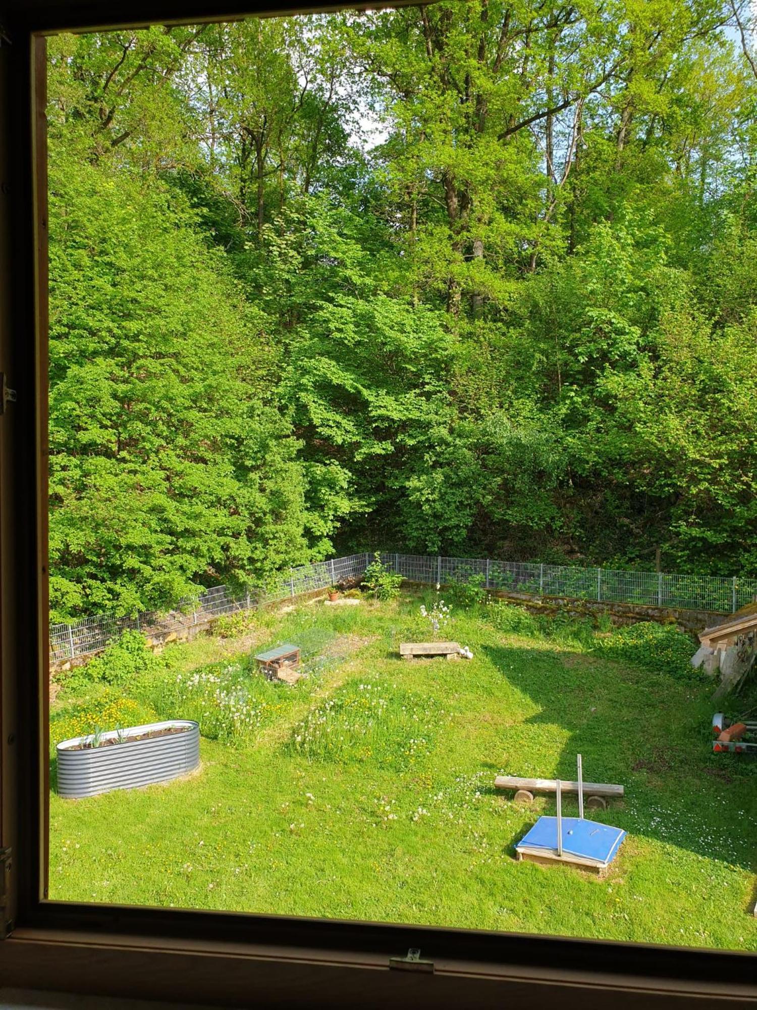 Ferienwohnung Und Sommerhaus Unter Der Burg Falkenberg  Dış mekan fotoğraf